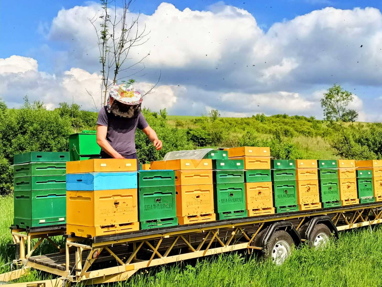 «Бджоловози» Кайдаша: історія нового початку після окупації